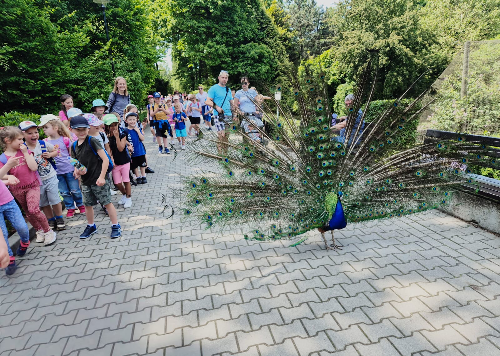 Wycieczka do ZOO