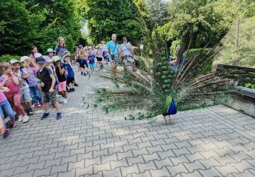 Wycieczka do ZOO